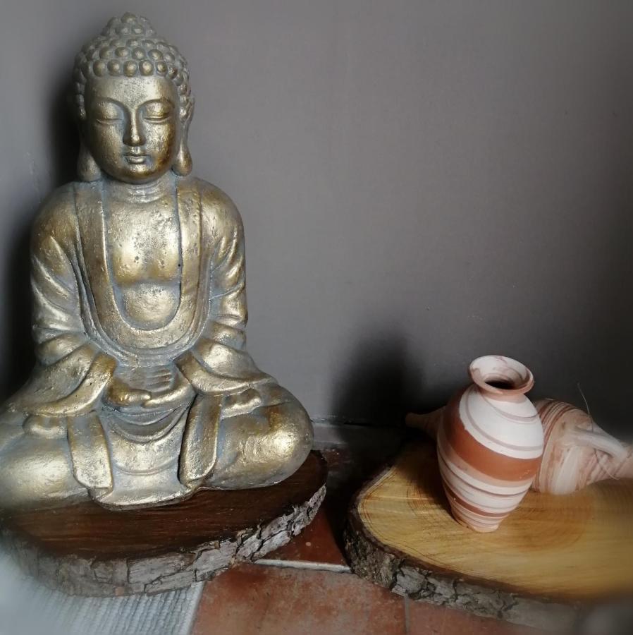 Jacuzzi Massage Sur Rdv,Duo,Reiki,Californien, Reflexologie Plantaire, Et Bouteille Mousseux Offerte Bed & Breakfast Ferolles Ngoại thất bức ảnh