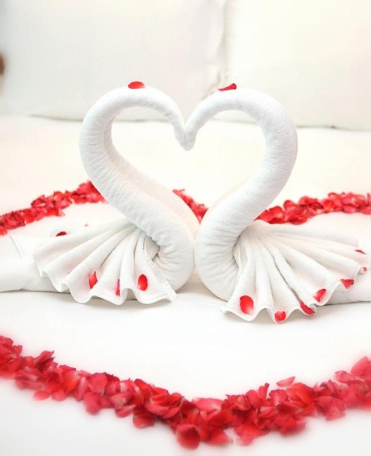 Jacuzzi Massage Sur Rdv,Duo,Reiki,Californien, Reflexologie Plantaire, Et Bouteille Mousseux Offerte Bed & Breakfast Ferolles Ngoại thất bức ảnh