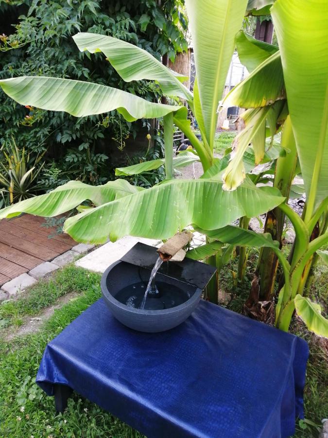 Jacuzzi Massage Sur Rdv,Duo,Reiki,Californien, Reflexologie Plantaire, Et Bouteille Mousseux Offerte Bed & Breakfast Ferolles Ngoại thất bức ảnh
